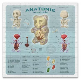 Anatomy Gummi Bär Bear Blotter Paper Archival Print by Jason Freeny