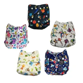 Combo of 5 Reusable Diapers - Option E