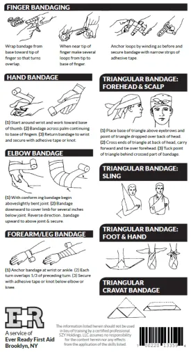 Ever Ready First Aid Chart & Illustration