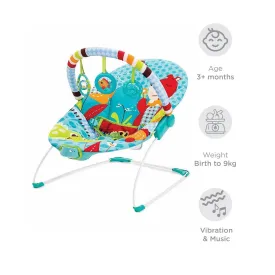 Mastela Soothing Vibration Bouncer (3 to 12 Months) - Distressed Box