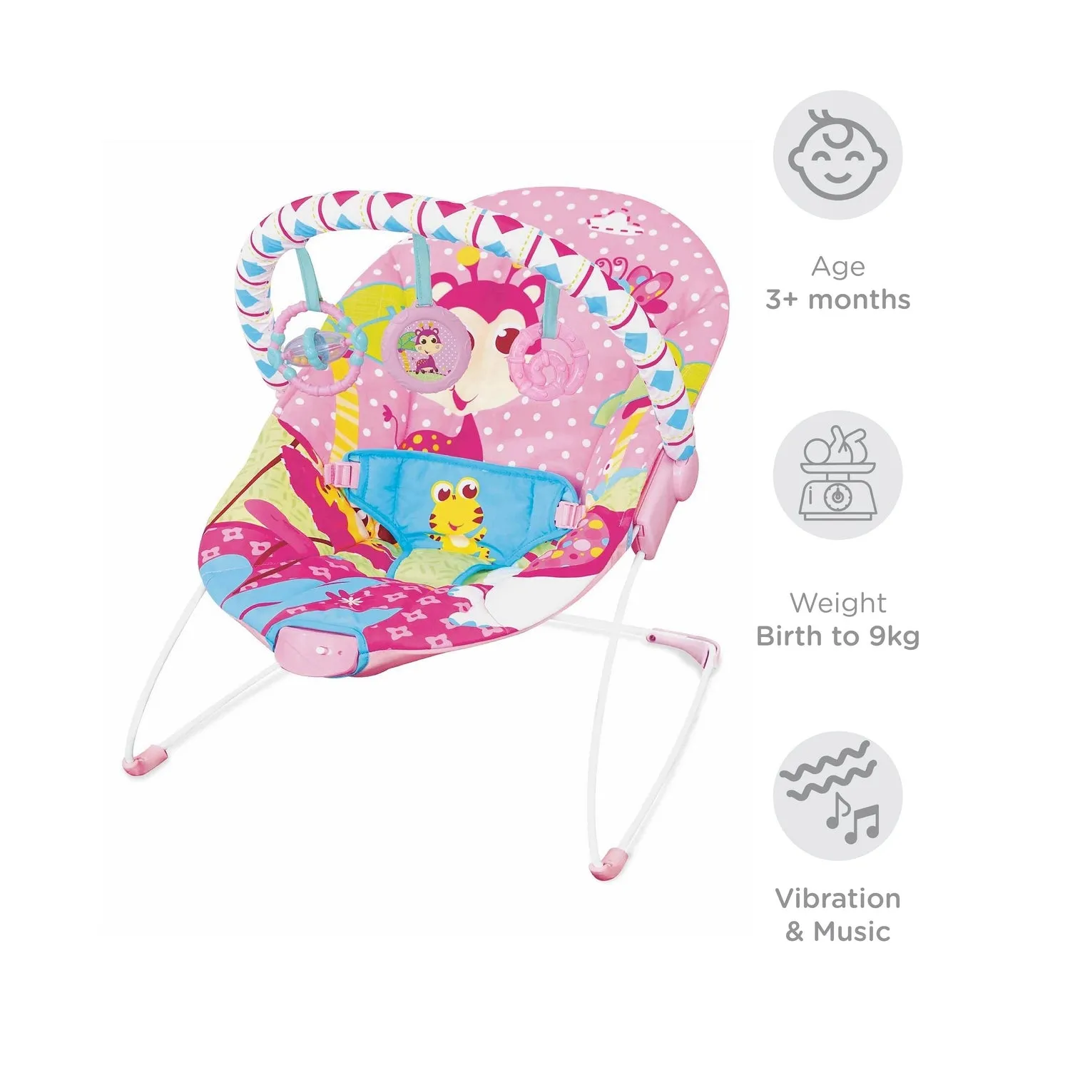 Mastela Soothing Vibration Bouncer (3 to 12 Months) - Distressed Box