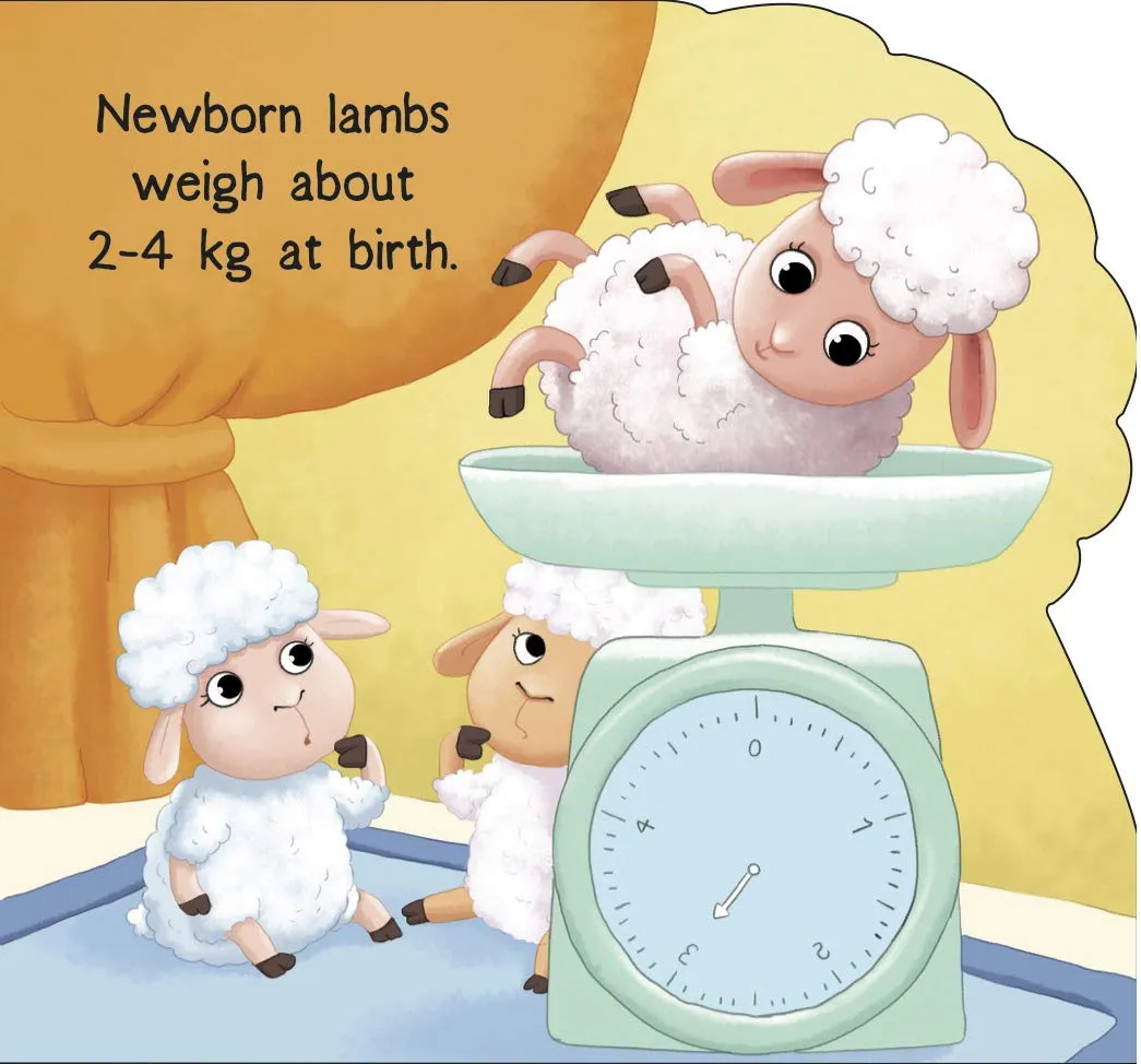 Om Books International Lamb ( Animals and Birds )- Cutout Board Books