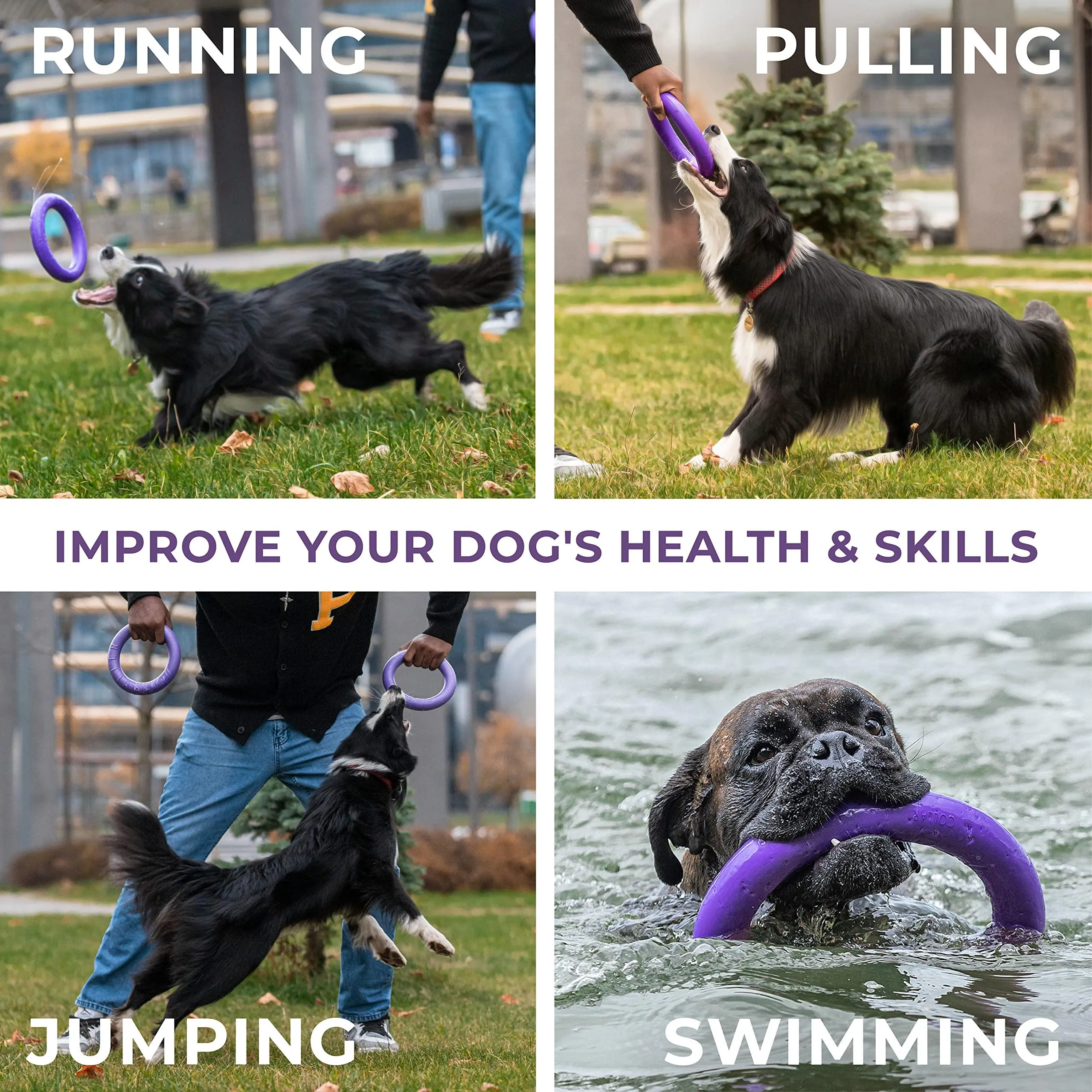 PULLER Dog Fitness Tool – Multifunctional Toy for Exercise, Play, and Bonding