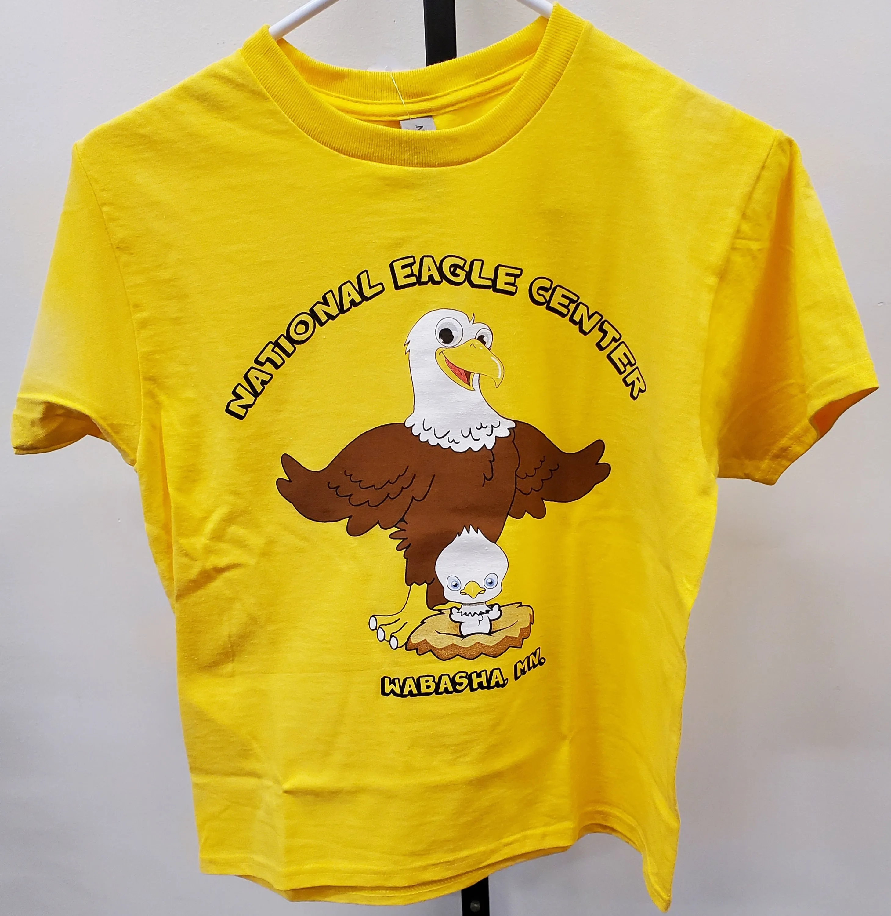 Youth T-Shirt: Mama and Baby Eagle